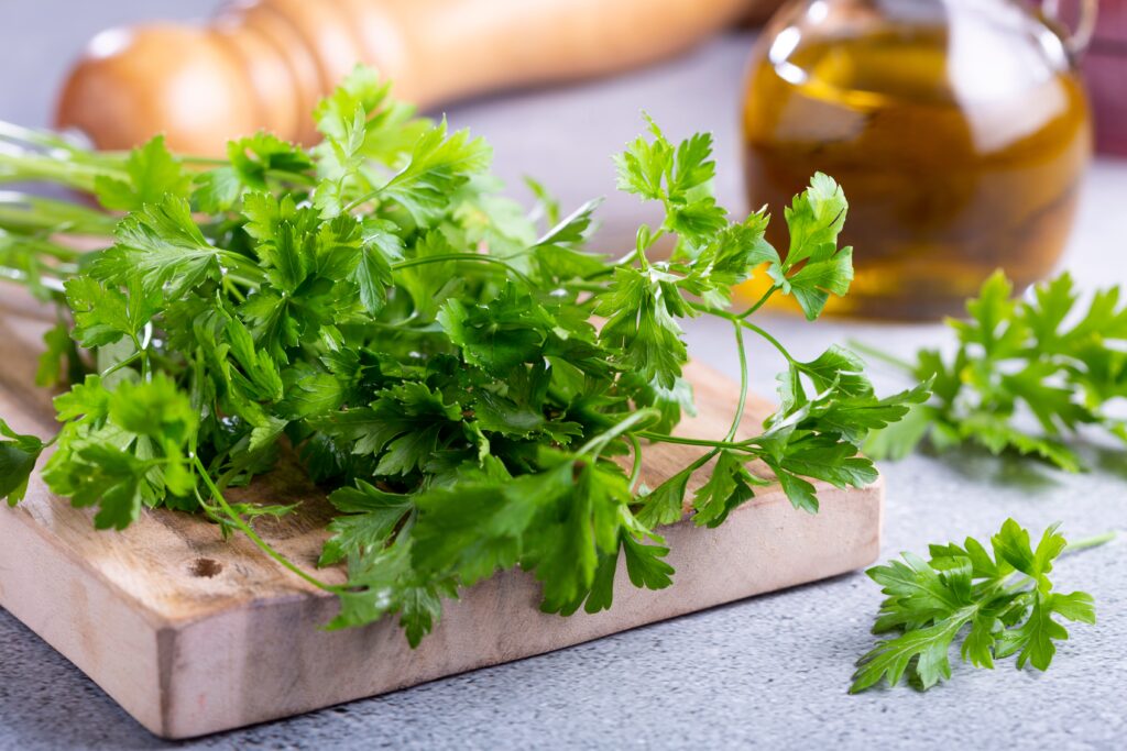 green fresh parsley herb in the kitchen