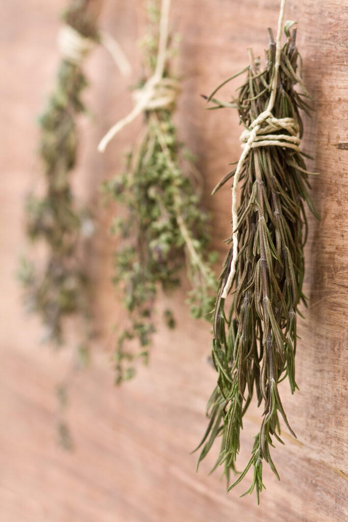 drying herbs