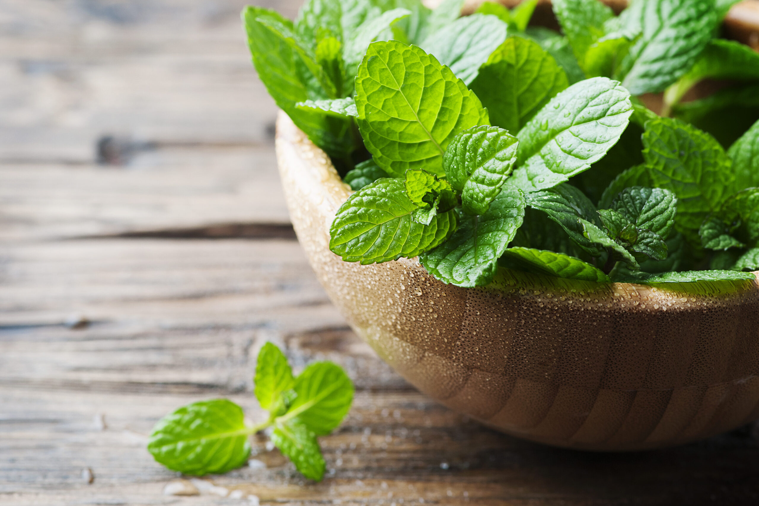 easiest herbs to grow indoors 